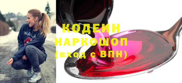молекула духа Осташков