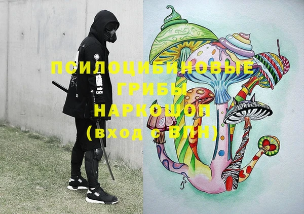 прущие грибы Балахна