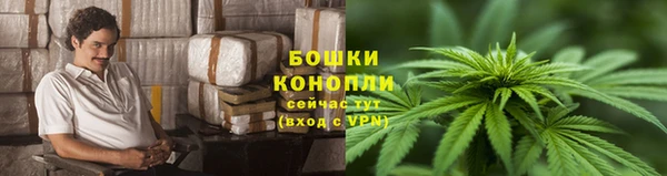 прущие грибы Балахна
