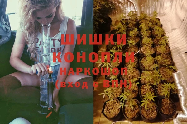 прущие грибы Балахна