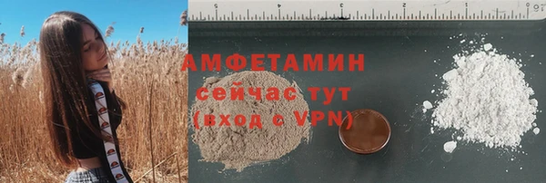 молекула духа Осташков