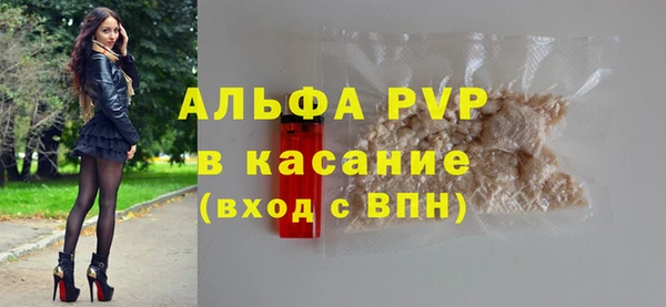 прущие грибы Балахна