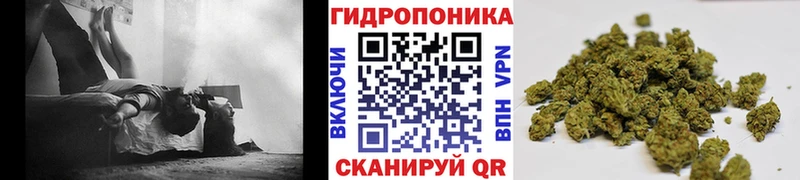 закладка Ликино-Дулёво Канабис LSD WEED